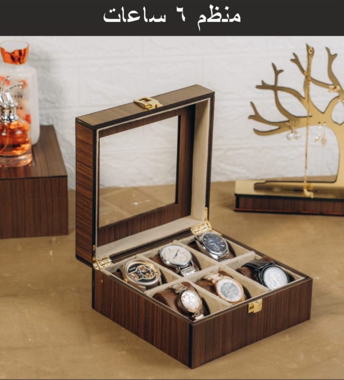 منظم 6 ساعات اليجانس