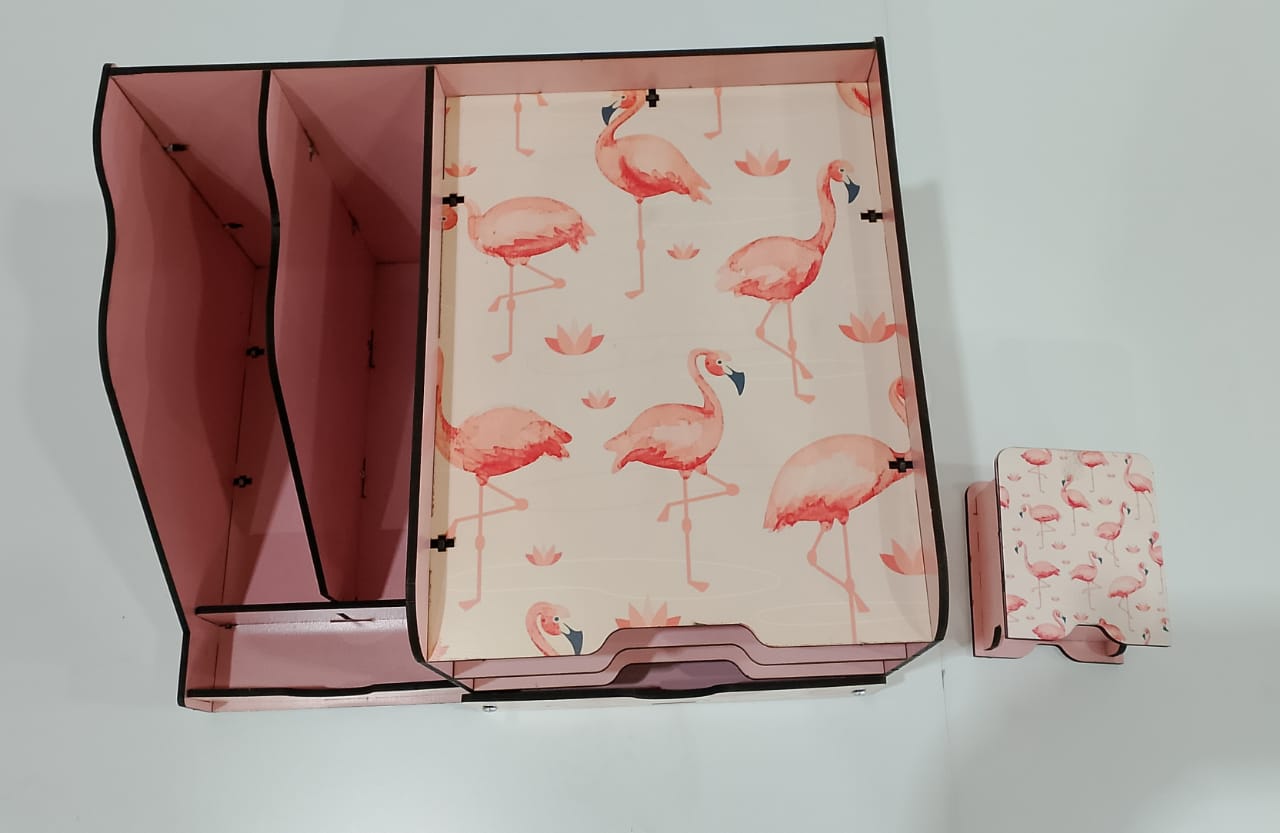 منظم كتب دراسي فلامنجو