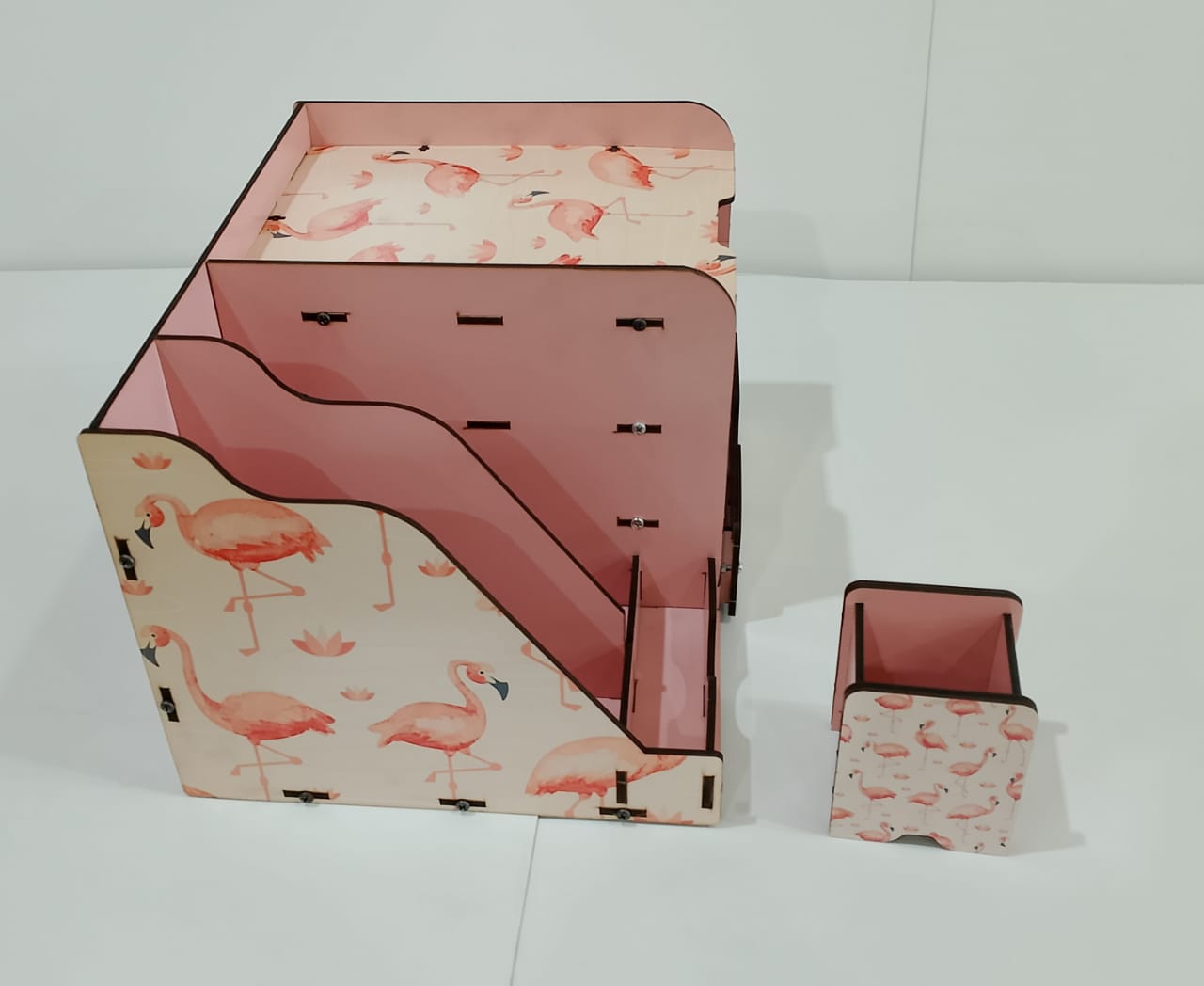 منظم كتب دراسي فلامنجو