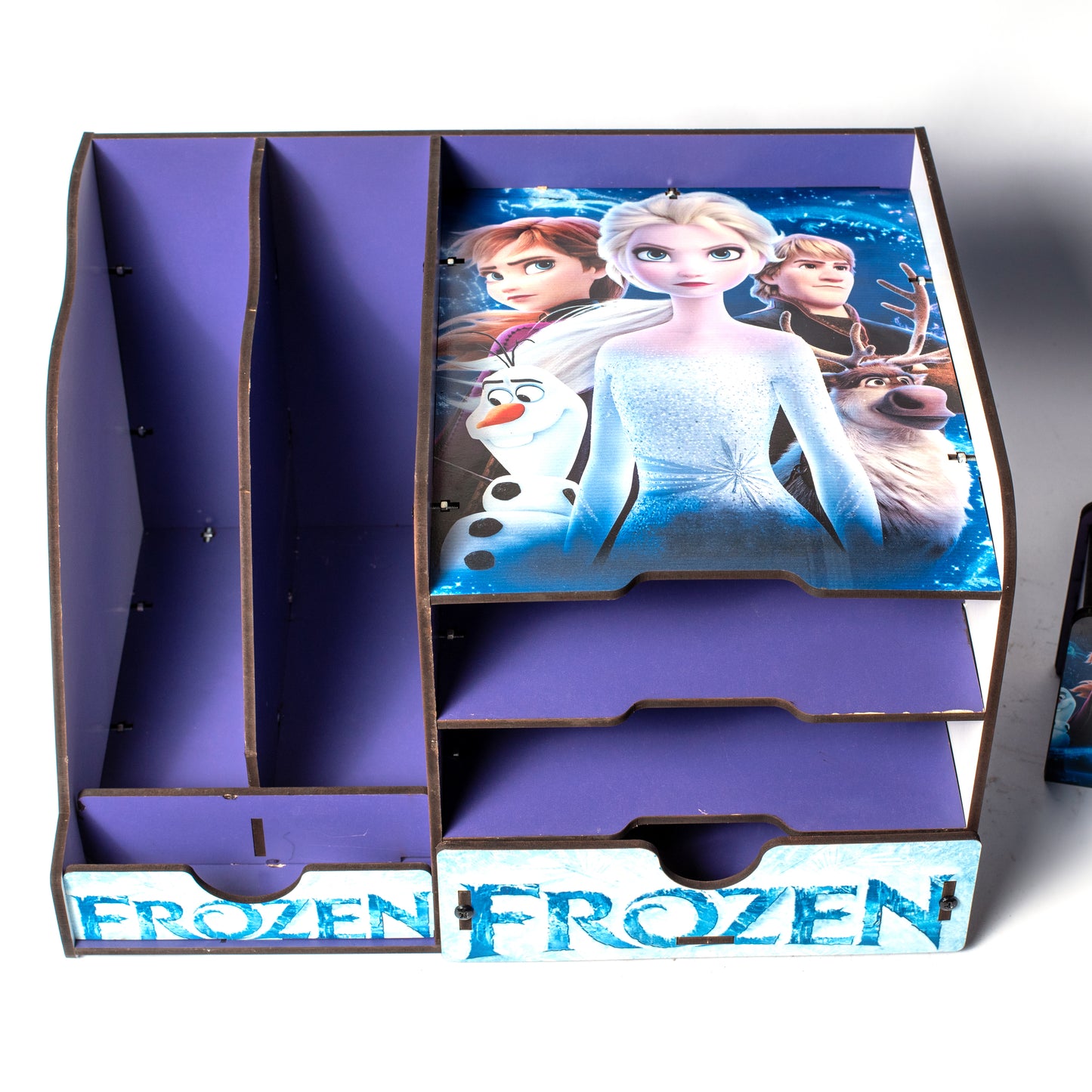 منظم كتب دراسي فروزن