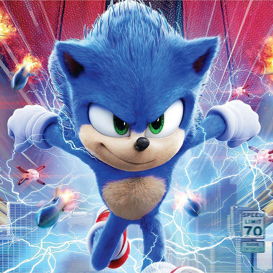 منظم كتب دراسي سونك